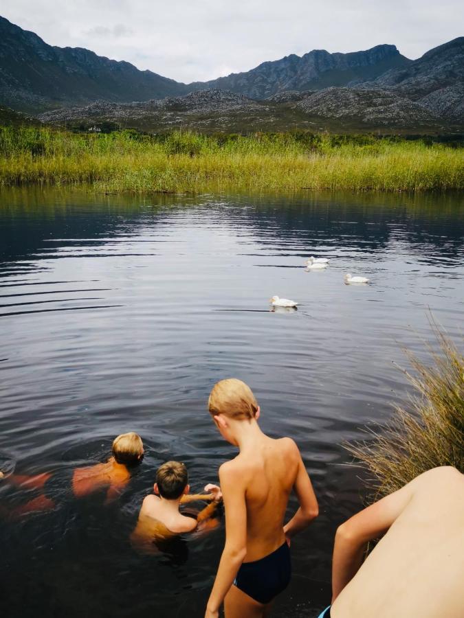 The Crowded House Pringle Bay Exterior photo