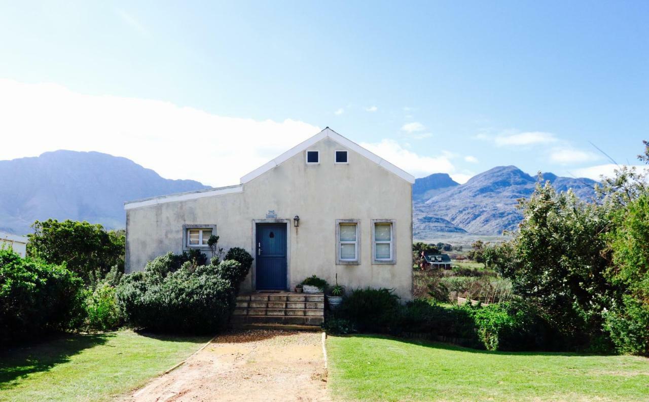 The Crowded House Pringle Bay Exterior photo